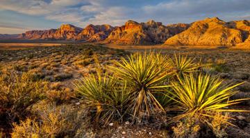 This image is used for Red Rock Canyon National Conservation Area  link button